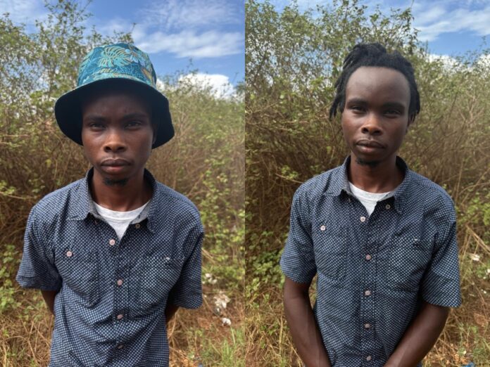 collage - 2026-02-26T202137.392