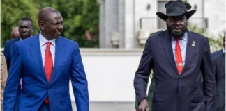 South Sudan Opposition Rejects Kenya-Led Peace Talks, Sets Pre-Conditions