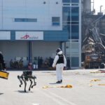 14 dead in S. Korean factory fire, no Chinese nationals among casualties