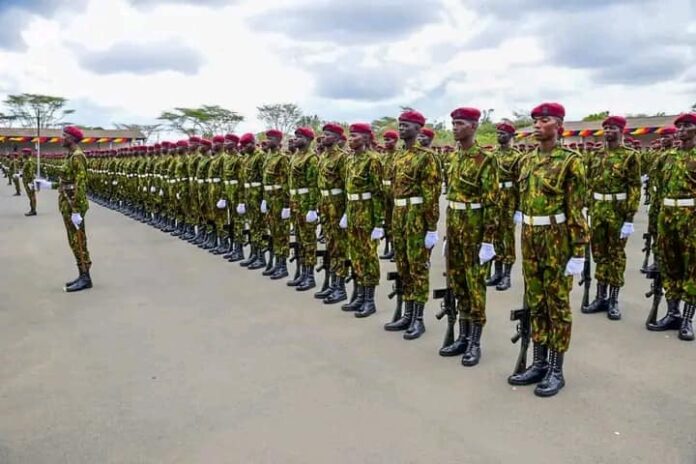 481071177_1081518957351820_7674302825886737211_n