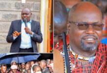 Senator Cherargei Pledges Job to Nurse Who Assisted Ng’eno Chopper Crash Victim