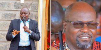 Senator Cherargei Pledges Job to Nurse Who Assisted Ng’eno Chopper Crash Victim