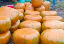 Police intercept 181Kgs of suspected narcotics along Webuye–Kitale Highway