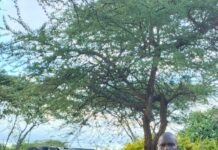 Daring Daylight Robbery Plot Foiled by Konza Crime Busters