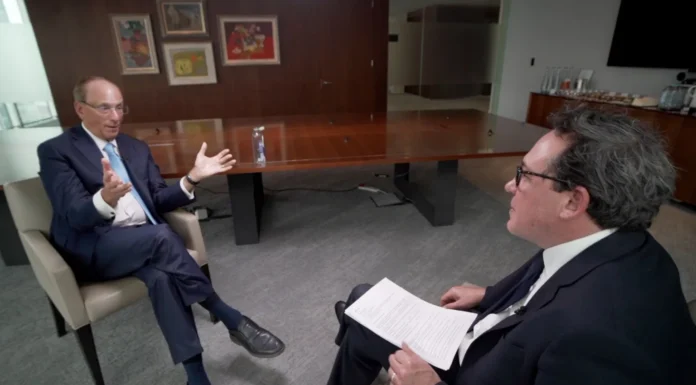 We need more plumbers and fewer lawyers in AI age, says BlackRock boss