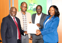 KTDA partners with KIPPRA to review policies amid tea sector pressures