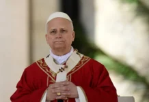 Pope at Palm Sunday Mass: ‘Jesus does not listen to prayers of those who wage war’