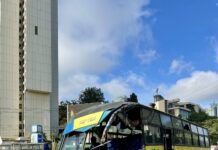 One Dead, Eight Injured in Multi-Vehicle Crash on Valley Road