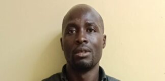 Alleged Gold Fraudster Takes Plea Over USD 600,000 Fake Gold Scam Targeting Australian Investor