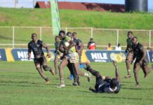 KCB Rugby Shifts Focus to Kenya Cup Playoffs