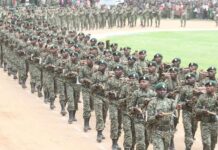NYS Announces Nationwide Recruitment; How To Apply