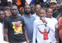 Sifuna, Babu Owino, Orengo oppose registration of Linda Mwananchi as political party