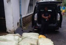 Suspected trafficker arrested with bhang worth Ksh.8.1M