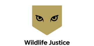 Title Wildlife Justice Commission reflects on a decade of impact with multimedia report: Fighting Wildlife Crime here