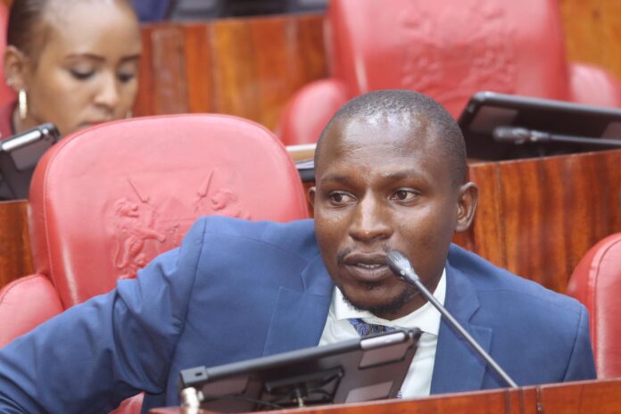 WhatsApp Image 2026-03-16 at 12.07.00