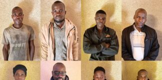 Fake Fertilizer Syndicate in Kakamega Busted, Eight Suspects Arrested by DCI Officers