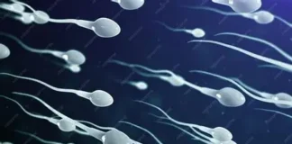 New Study Links Frequent Ejaculation to Improved Sperm Quality, Sparks Debate in Kenya