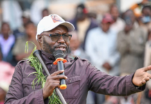 IEBC sets May 14 for Emurua Dikirr by election