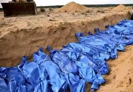 images-2026-03-22T013716.892