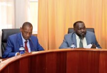 Senate Committee Queries NCPB on Food Security and Grain Stocks