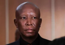 Julius Malema Sentenced to Five Years Over Firearm Offences