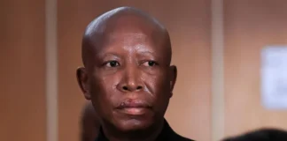 Julius Malema Sentenced to Five Years Over Firearm Offences