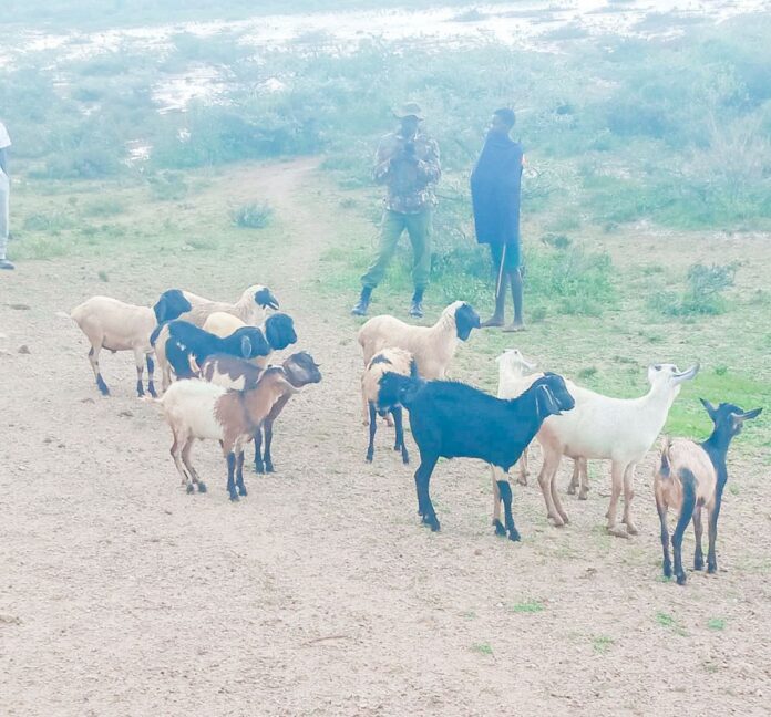 668521292_1281412720841661_2084699084345353421_n