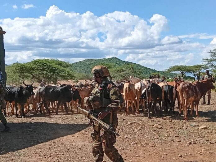 668630857_1283557260627207_4548589489481344254_n