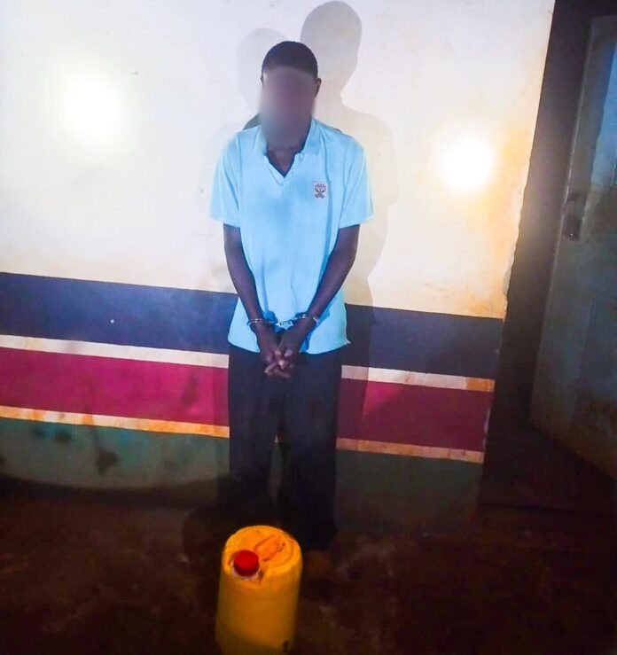 668725863_1283131647336435_8112046439159384340_n