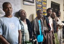 KWS Officers Nab Six Suspects, Recover Giraffe Meat in Garissa Operation