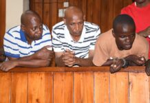 Kwa Binzaro Manslaughter Case Opens as Mackenzie, Co-Accused Face Court