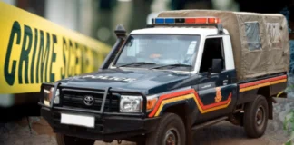 Six Arrested in Garissa as KWS Cracks Down on Poaching Syndicate