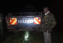 Police Discover 20 Slaughtered Donkeys in Makindu Raid