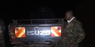 Police Discover 20 Slaughtered Donkeys in Makindu Raid