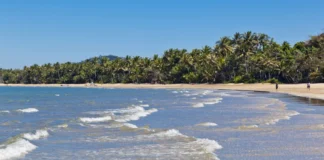 Man killed in shark attack off Australia’s north-east coast