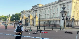 E-scooter and officer collide near Buckingham Palace