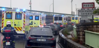 French national shows symptoms on return from hantavirus-hit ship