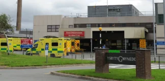 Surgeon removed wrong part of bowel after tattoo mix-up