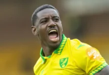 Norwich’s Cordoba in Panama’s World Cup squad