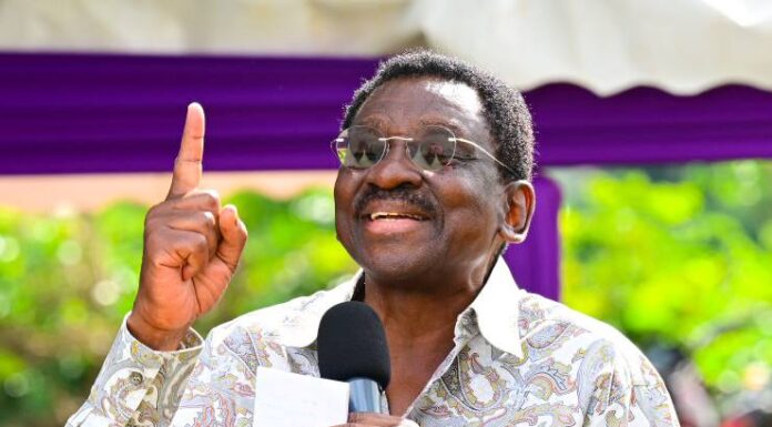 Siaya Governor James Orengo says his Nairobi security withdrawn