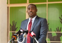 DCP DPL Cleo Malala accuses Ruto’s gov’t of ethnic profiling against Kikuyus, reviving ’41 vs 1′ politics