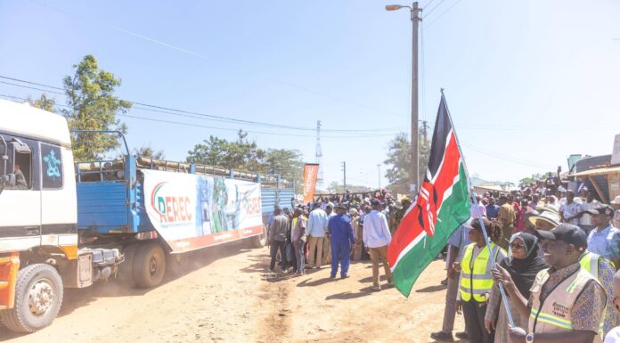 Ruto pledges electricity connection for 15,000 Kwale households by year-end