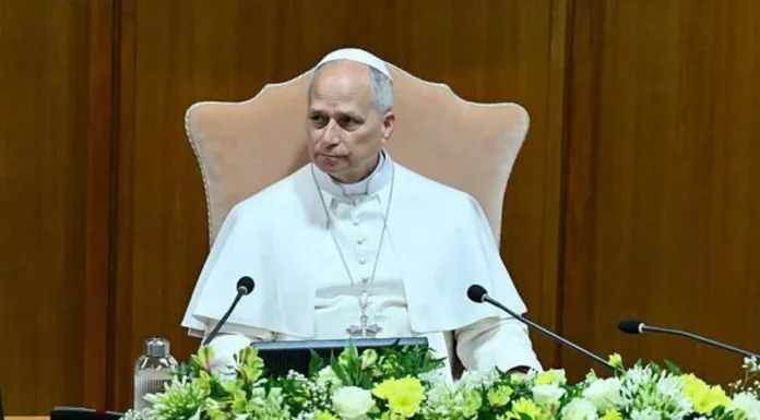 Pope Leo XIV says AI must be ‘disarmed’ in first major teaching