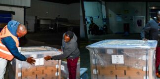 IEBC receives ballot papers for Emurua Dikirr, Porro Ward, Endo Ward by-elections