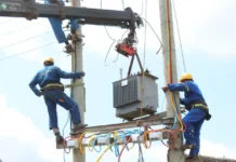 13 Convicted in Three Months for Electricity Vandalism