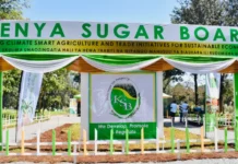 Kenya Sugar Board Announces Job Opportunities in Select Counties; How to Apply