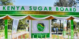 Kenya Sugar Board Announces Job Opportunities in Select Counties; How to Apply