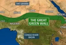 The Great Green Wall: Inside Africa’s Ambitious Race to Stop the Sahara