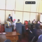 Chaos at Narok Assembly as MCAs trade blows over ouster motion