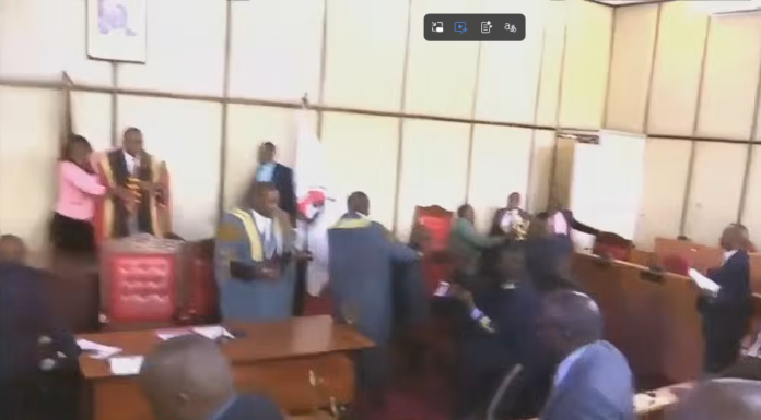 Chaos at Narok Assembly as MCAs trade blows over ouster motion